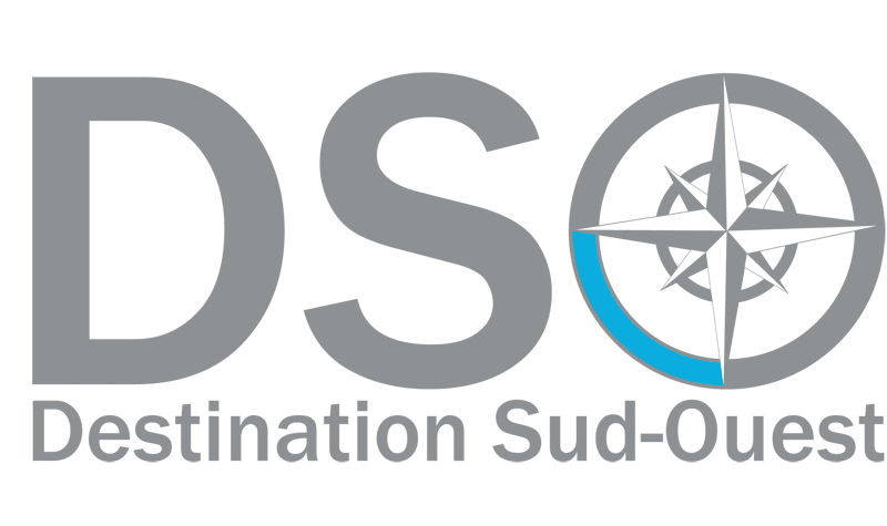agence web DSO Communication logo gris