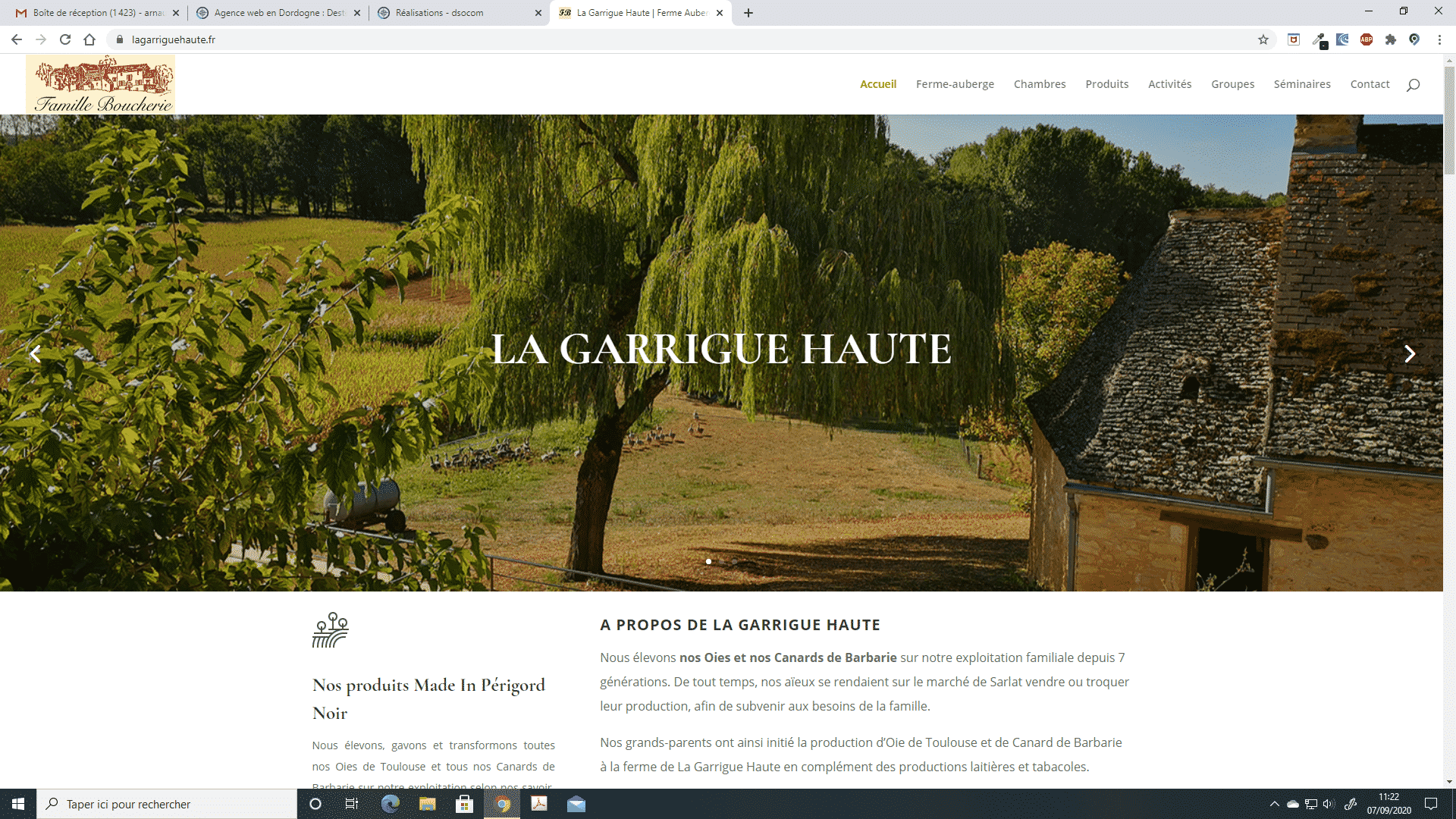 agence web DSO Communication logo wordpress 